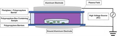 Inactivation of Salmonella enterica and shiga toxin-producing Escherichia coli on desiccated shredded coconut by high voltage atmospheric cold plasma